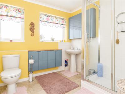 Picture 7